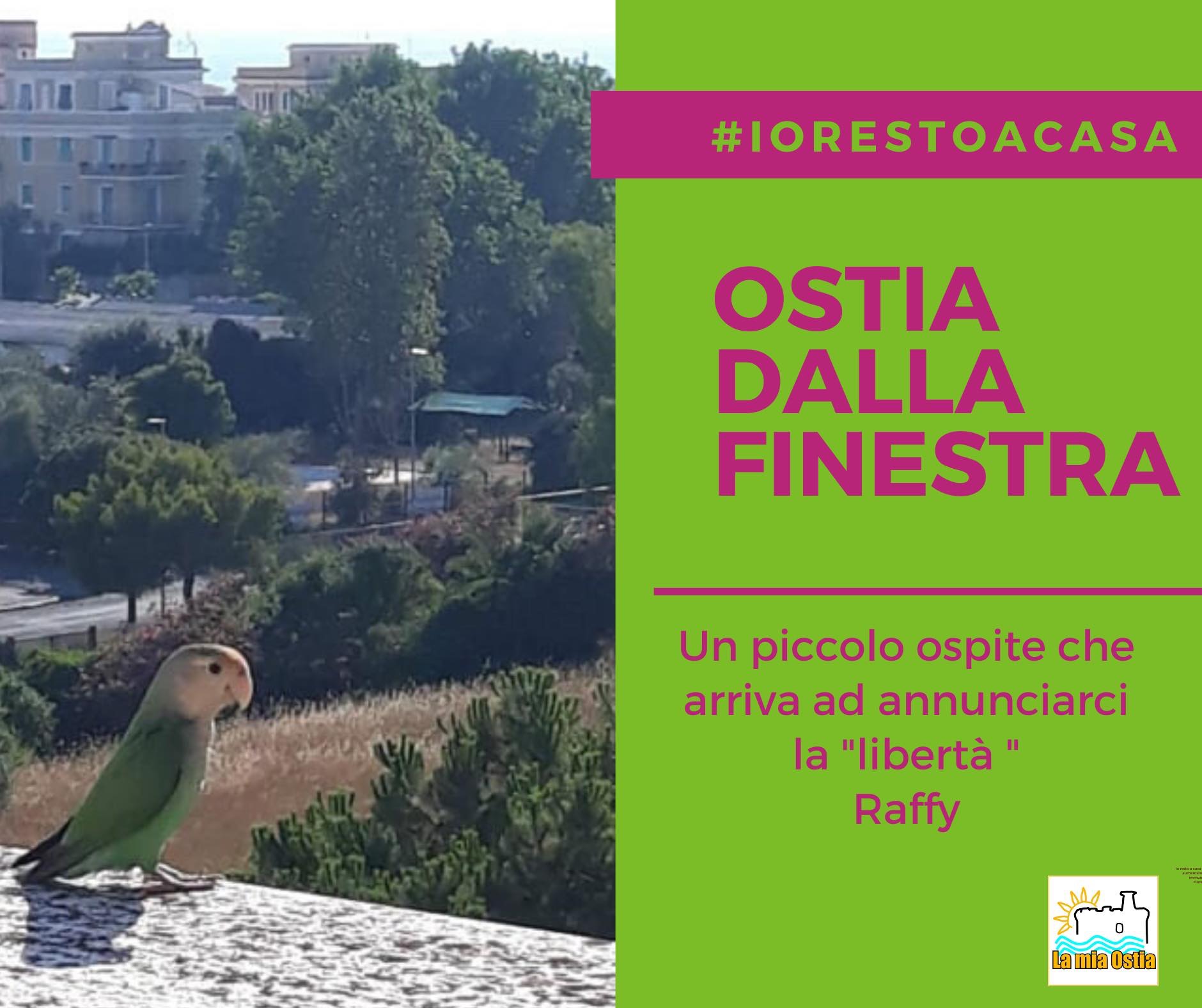 Ostia dalla finestra: mese di maggio